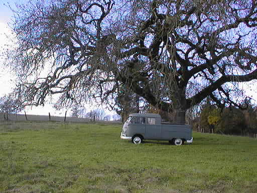 Bart under oak5.jpg (60701 bytes)