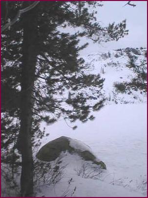 Rock, Tree, and Snow.jpg (25524 bytes)