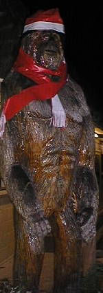 Sasquatch in Trinity Center2.jpg (15467 bytes)